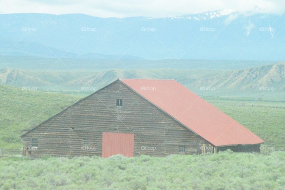 Old barn 