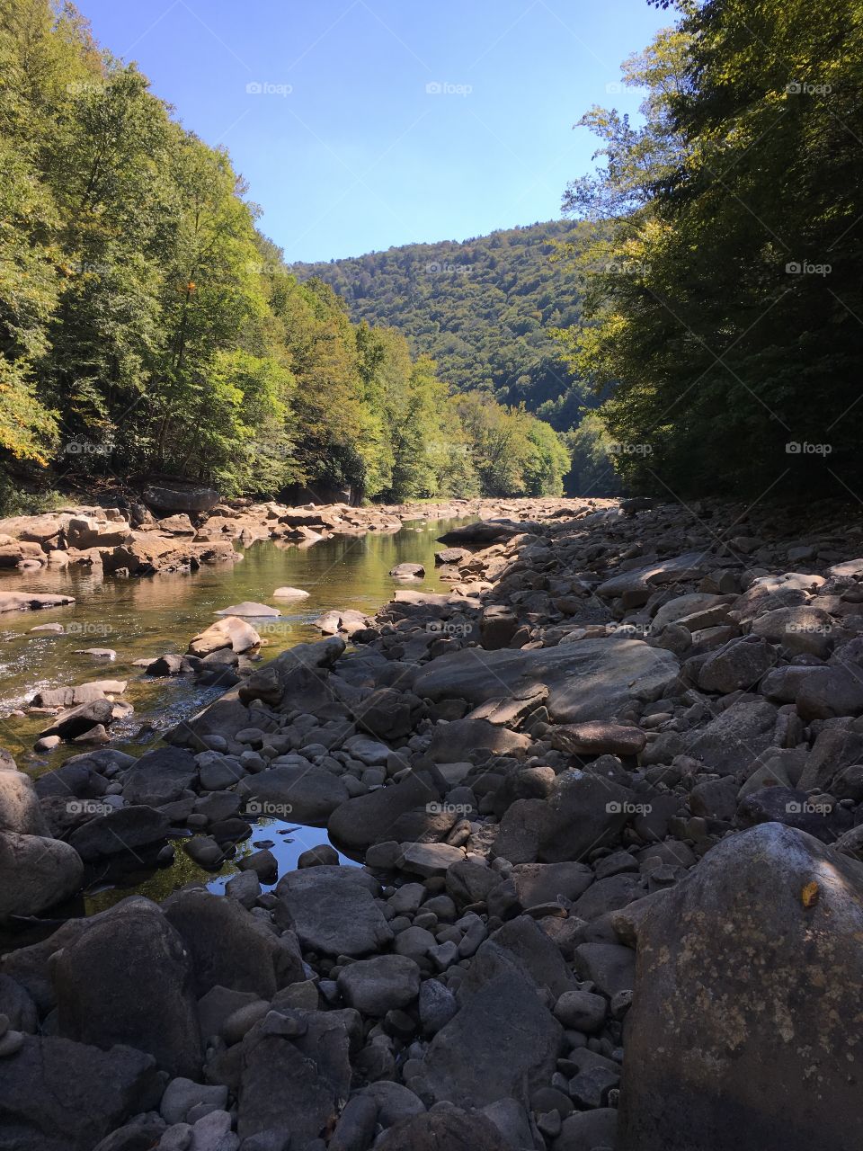 Cheat Falls, West Virginia