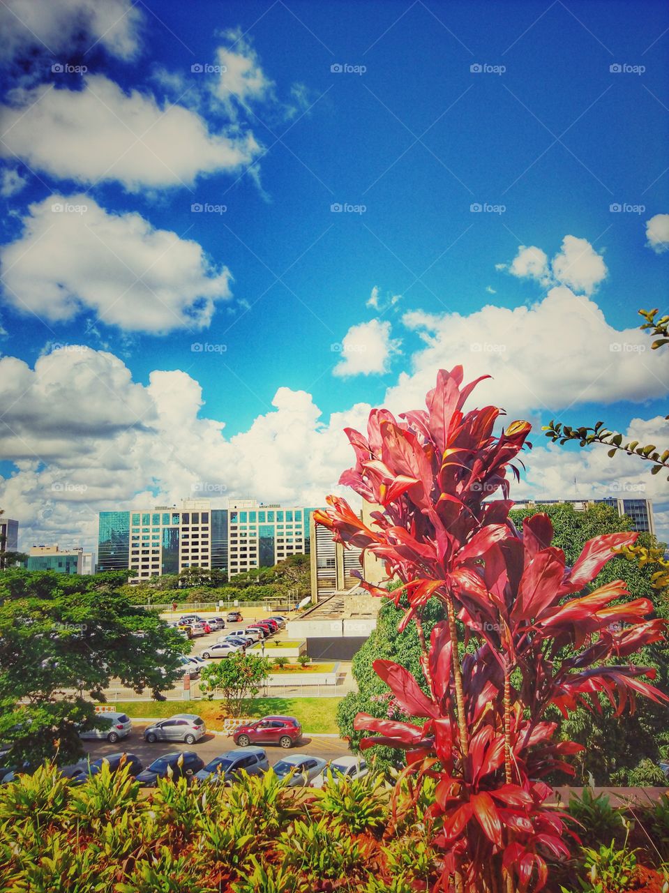 cidade urbano Brasília DF