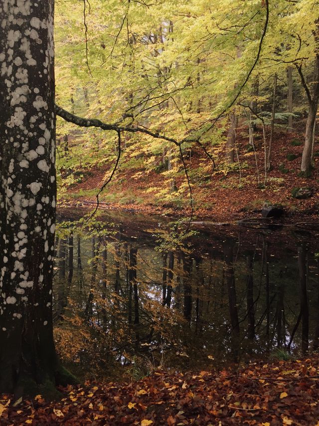 Autumn