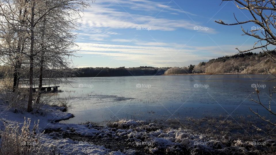 Winter by the lake