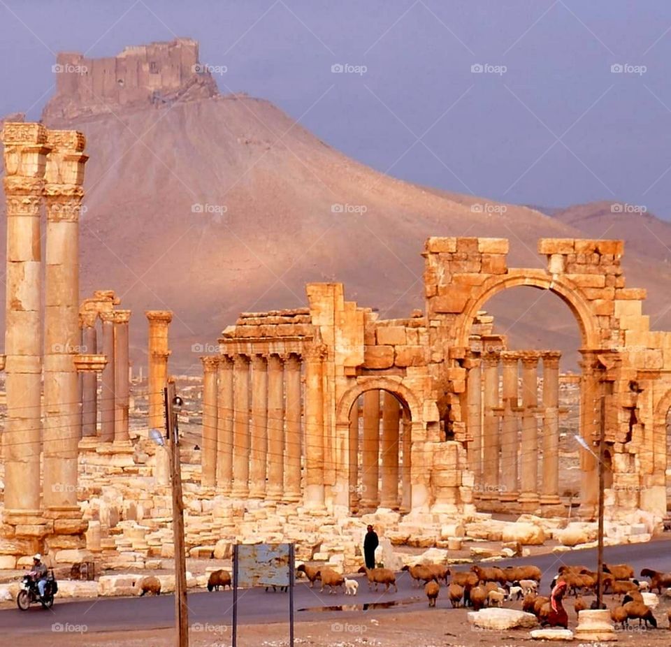 Palmyra