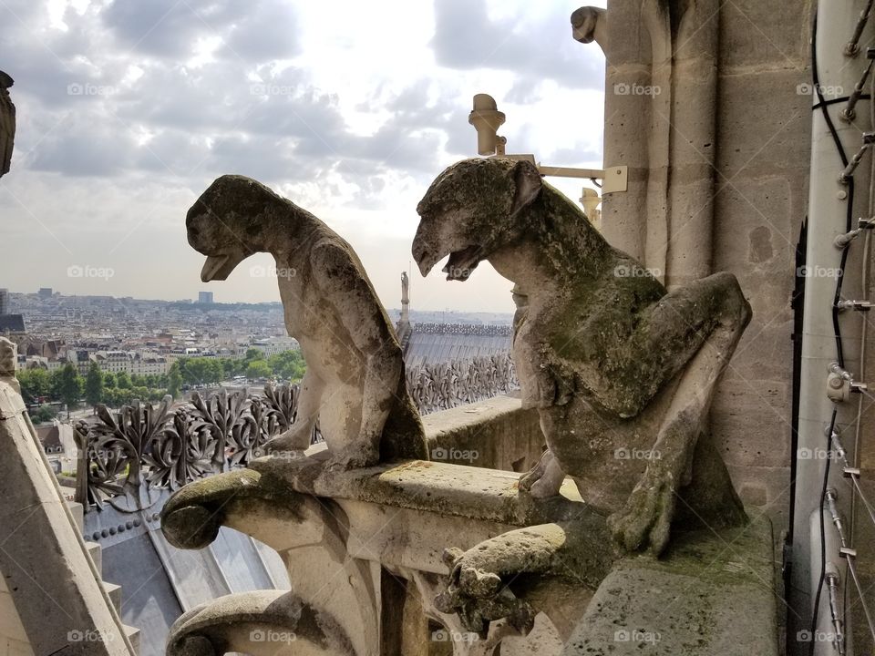 gargoyles Notre Dame de Paris