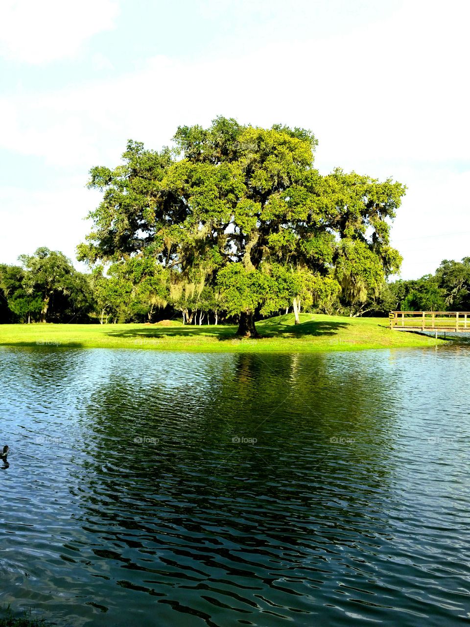 Beautiful sunny day at the park in Sheridan Texas