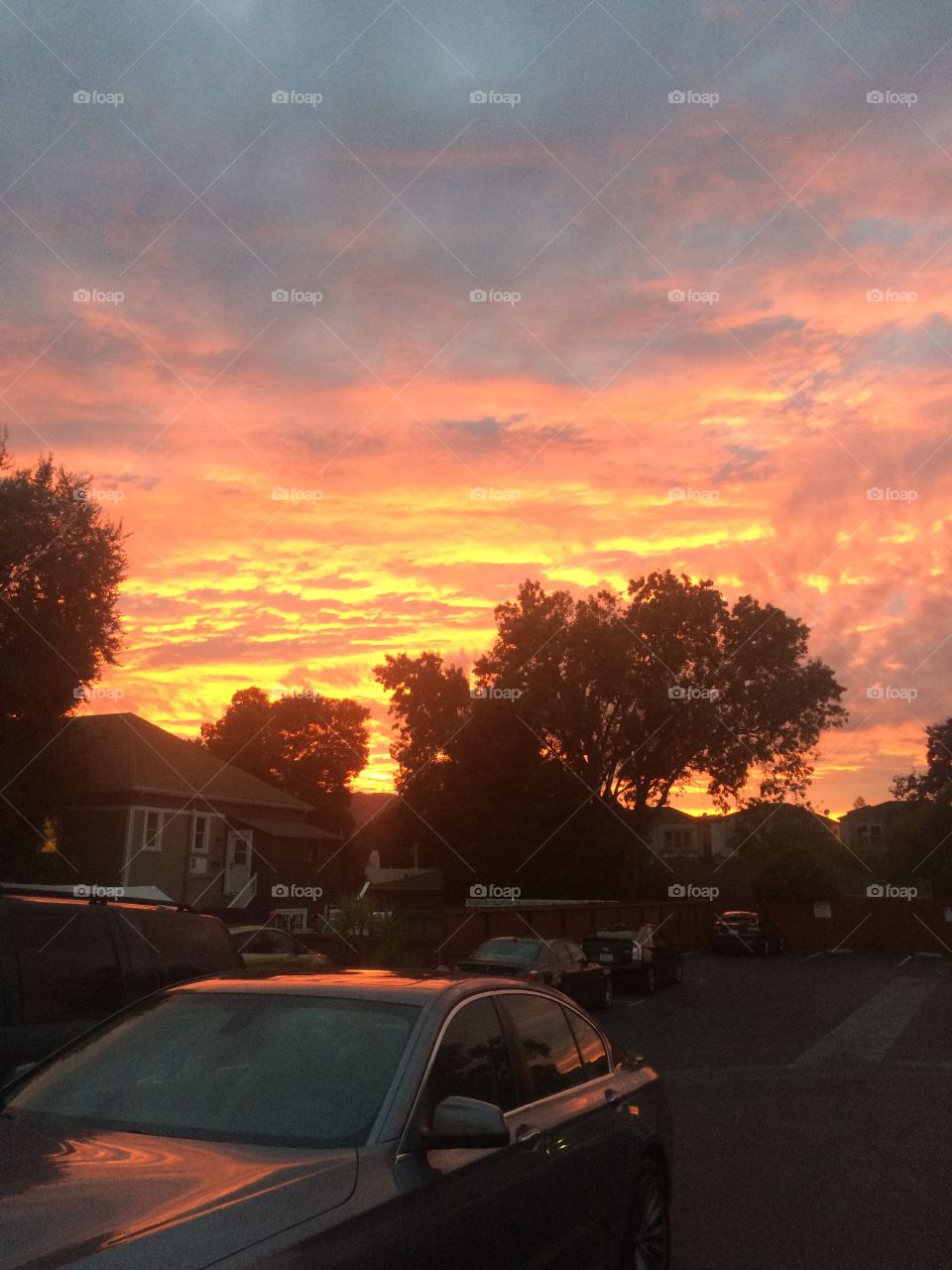 Orange, yellow and pink sky on a Bay Area night. 