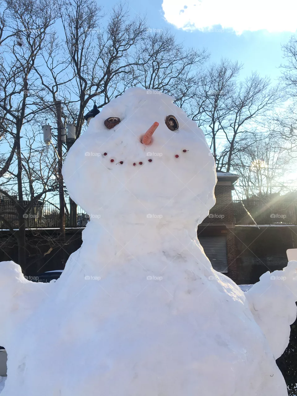 Snowman with carrot nose and mushroom eyes