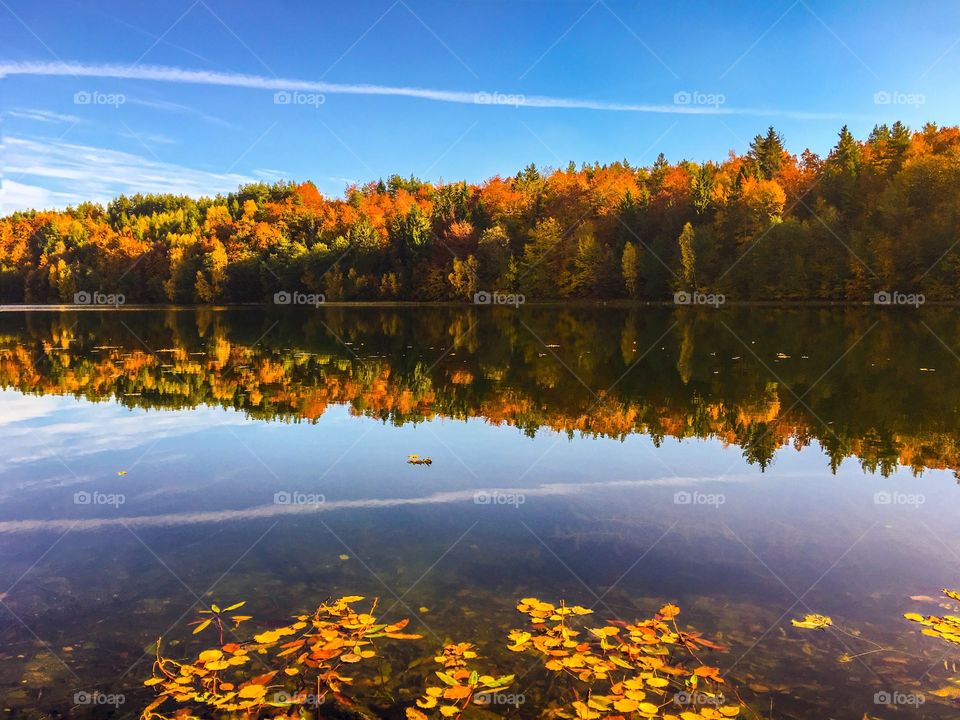 Fall, No Person, Landscape, Nature, Tree