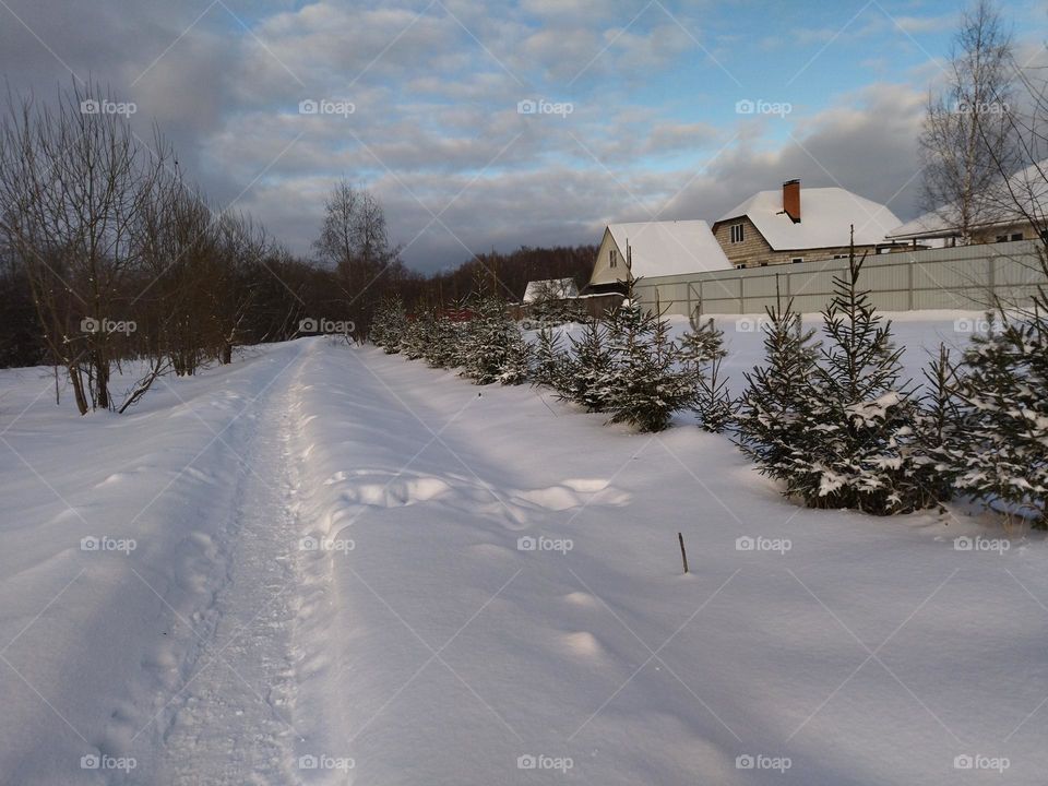 дорога зимняя