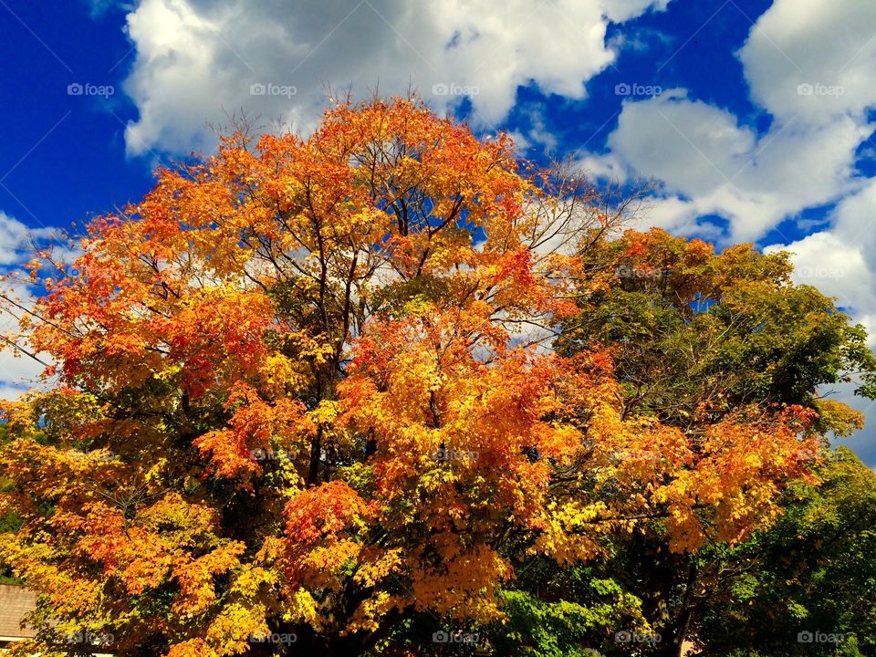 October in Vermont 