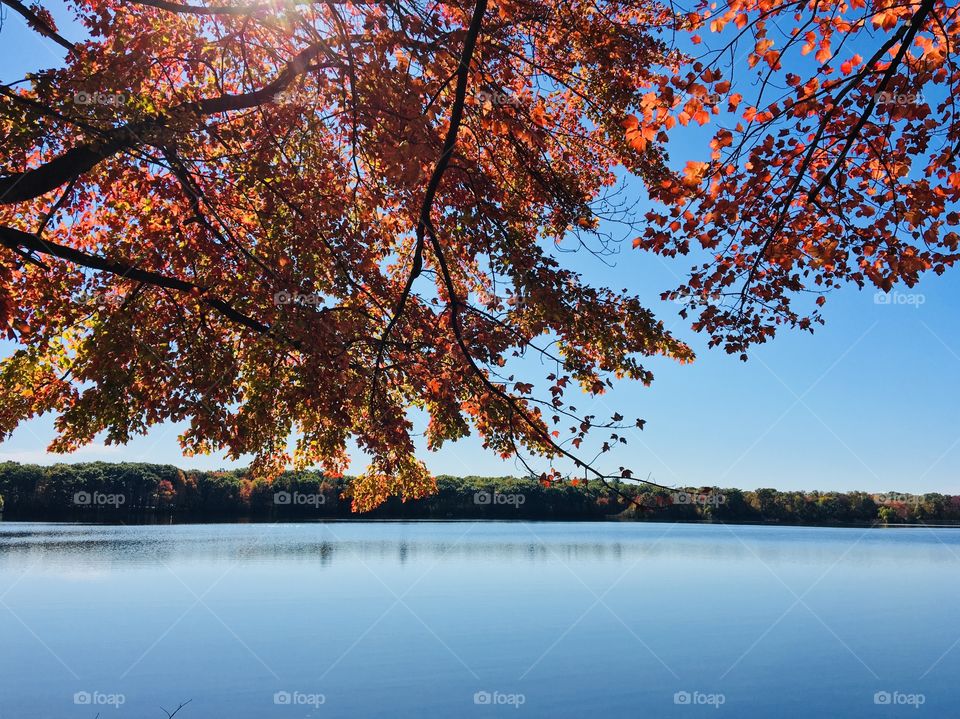 Beauty of fall foliage