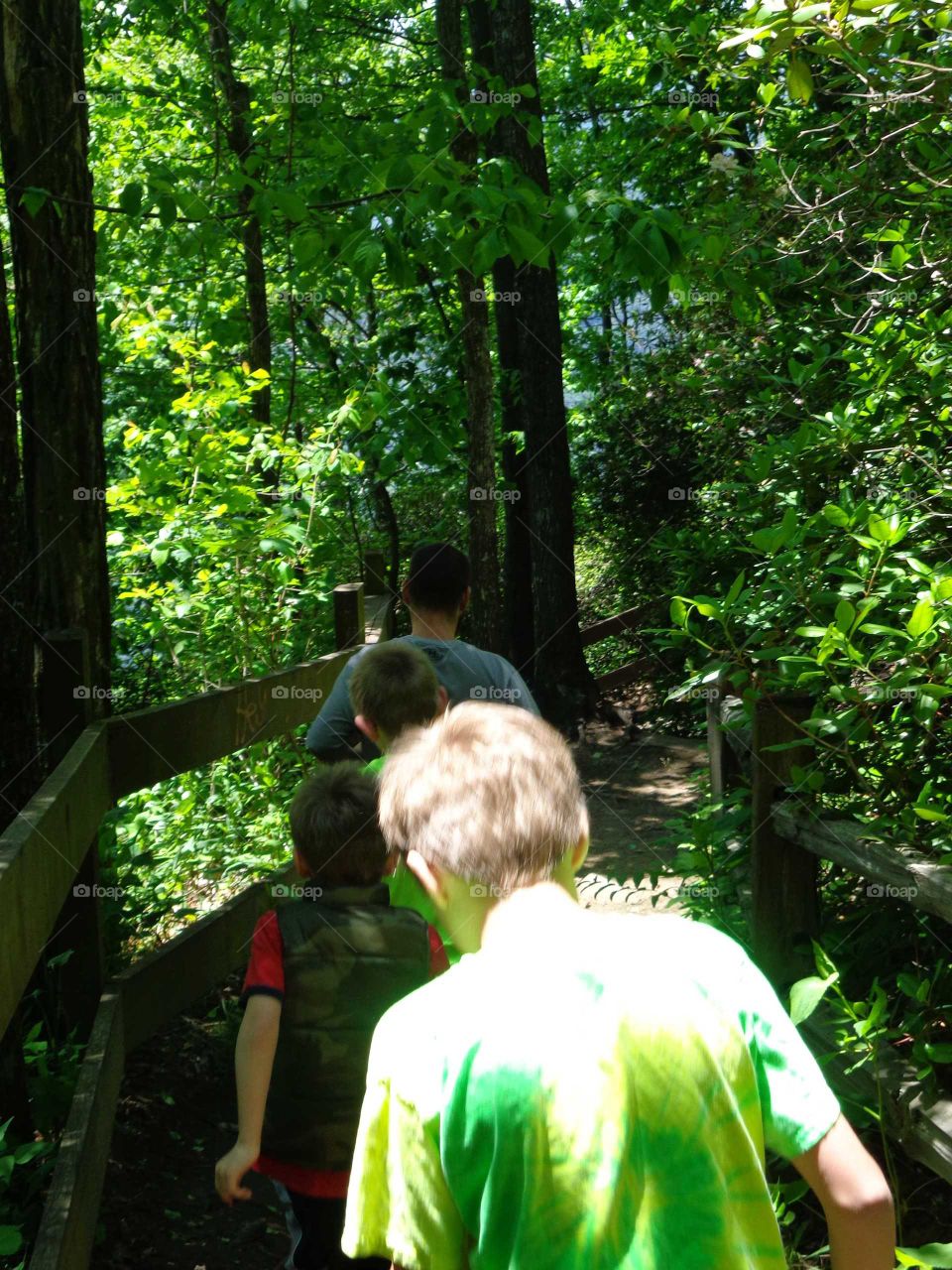 Wood, Tree, Park, Child, Leaf
