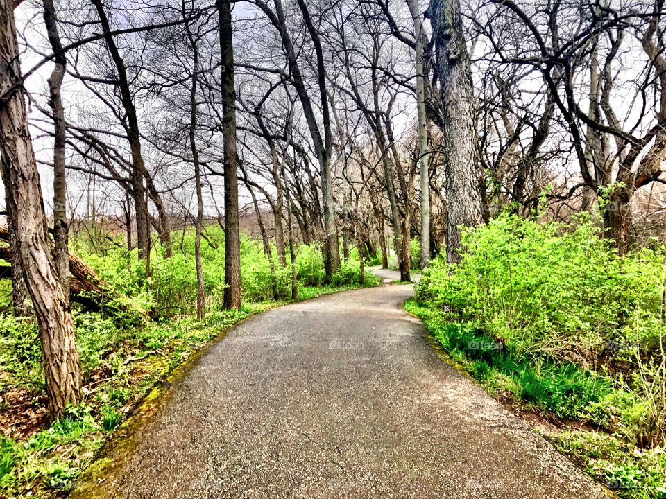 Hiking in the park in Indiana 