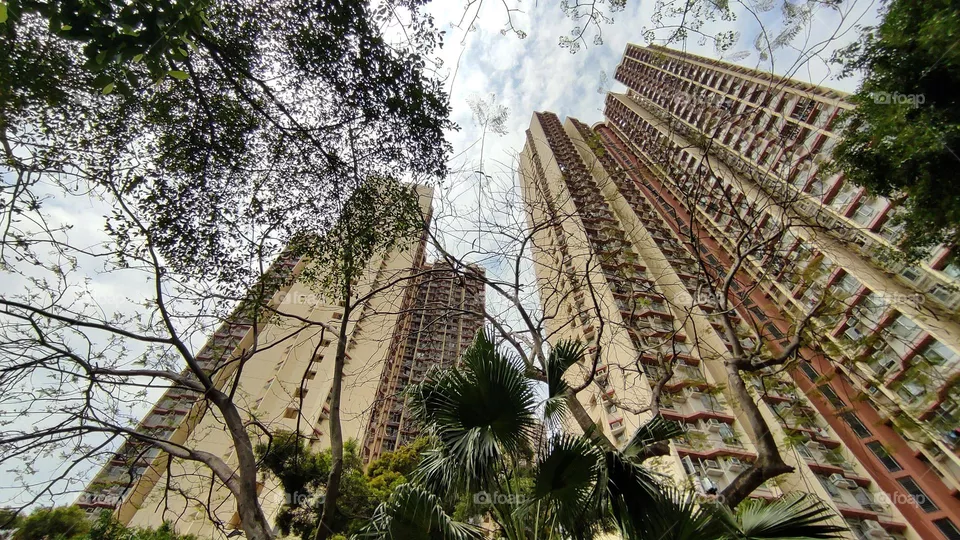 look up view