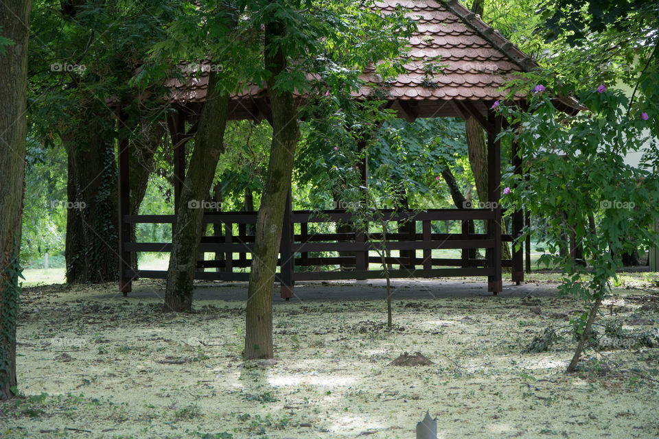 wooden house in green forest