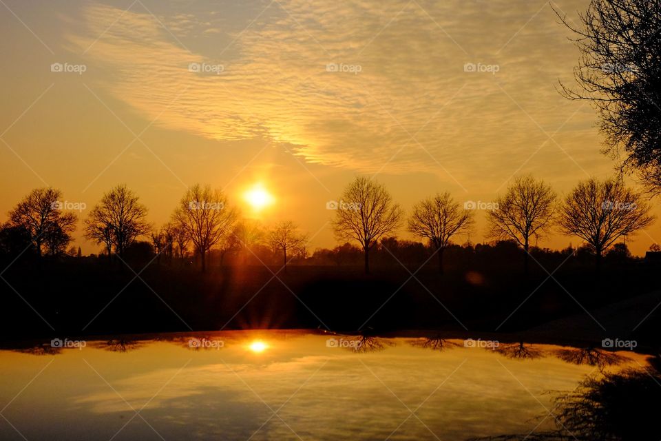 Reflected orange sunset over the horizon with trees 