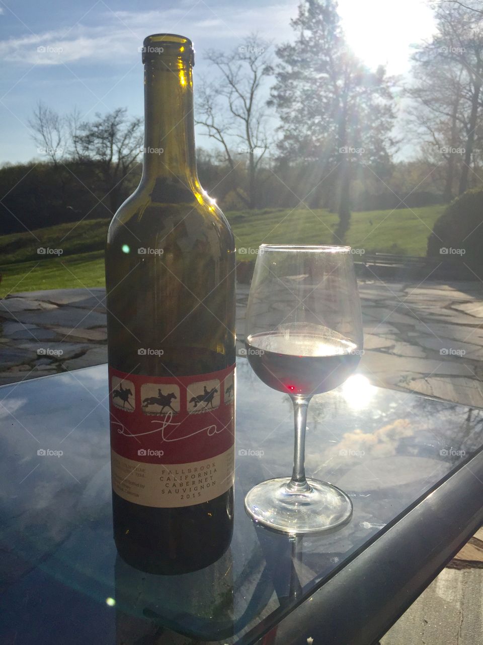 Wine glass and bottle of red to enjoy on a sunny day 