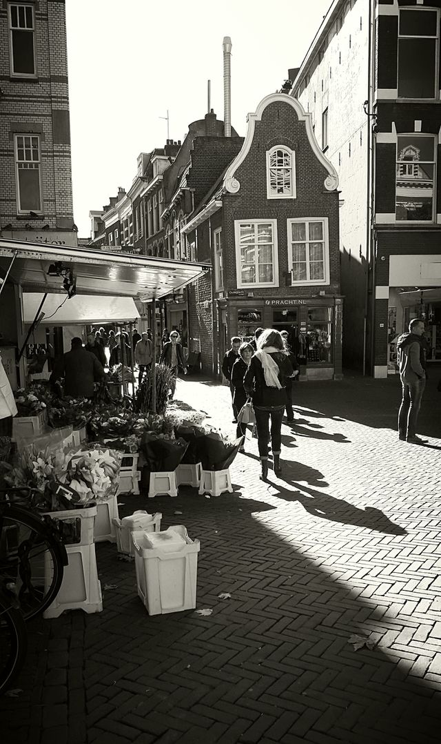 cozy city street utrecht holland ancient old houses architecture market bw sepia