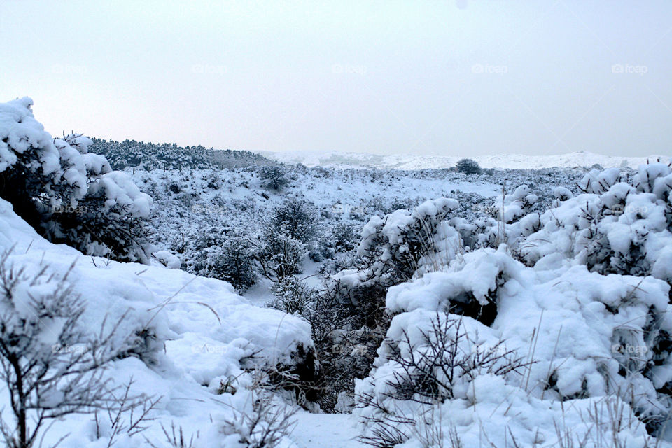 View of winter landscape