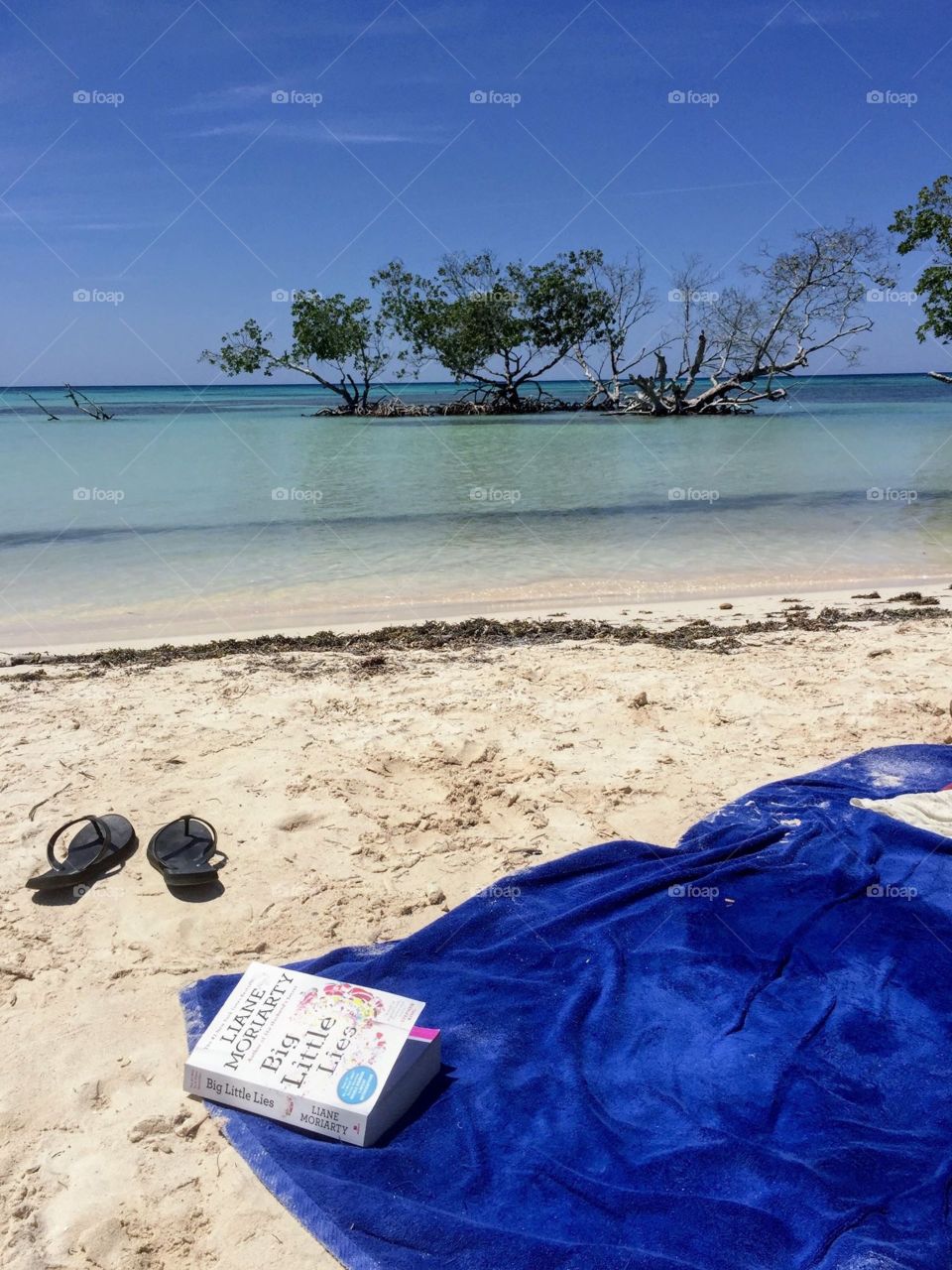 A book and the ocean can’t ask for anything more!
