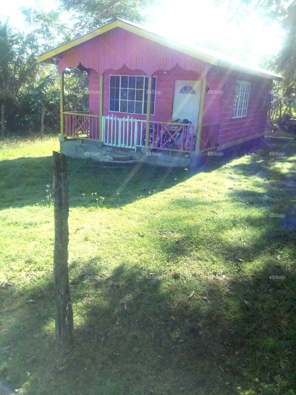 the sun is very hot early in the morning but the glasses of sun was coming down true the tress