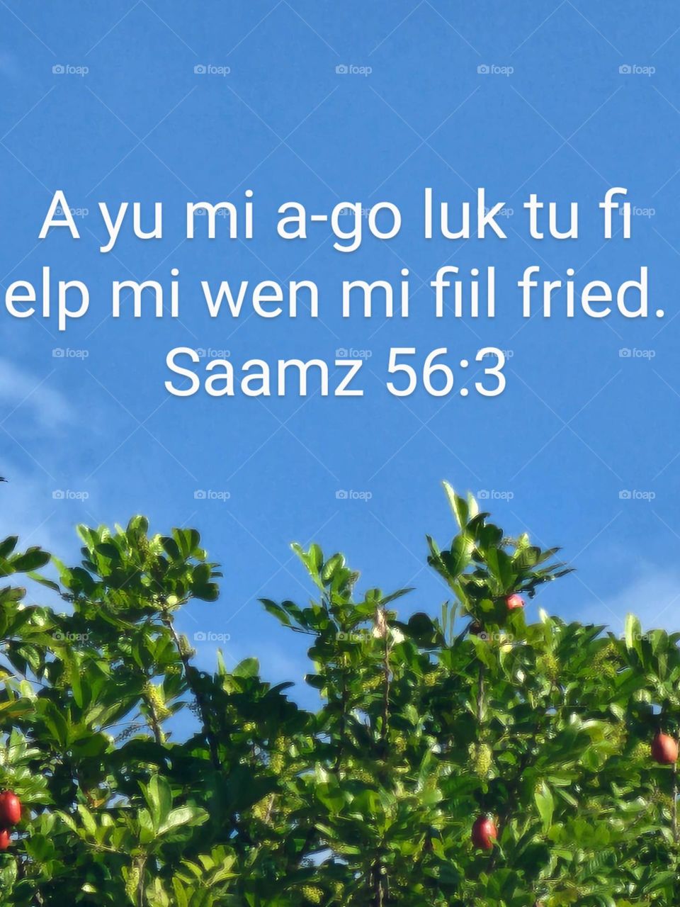 2024 year text for Jehovah's Witnesses in patwa