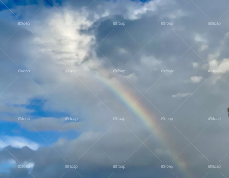 Rainbow 