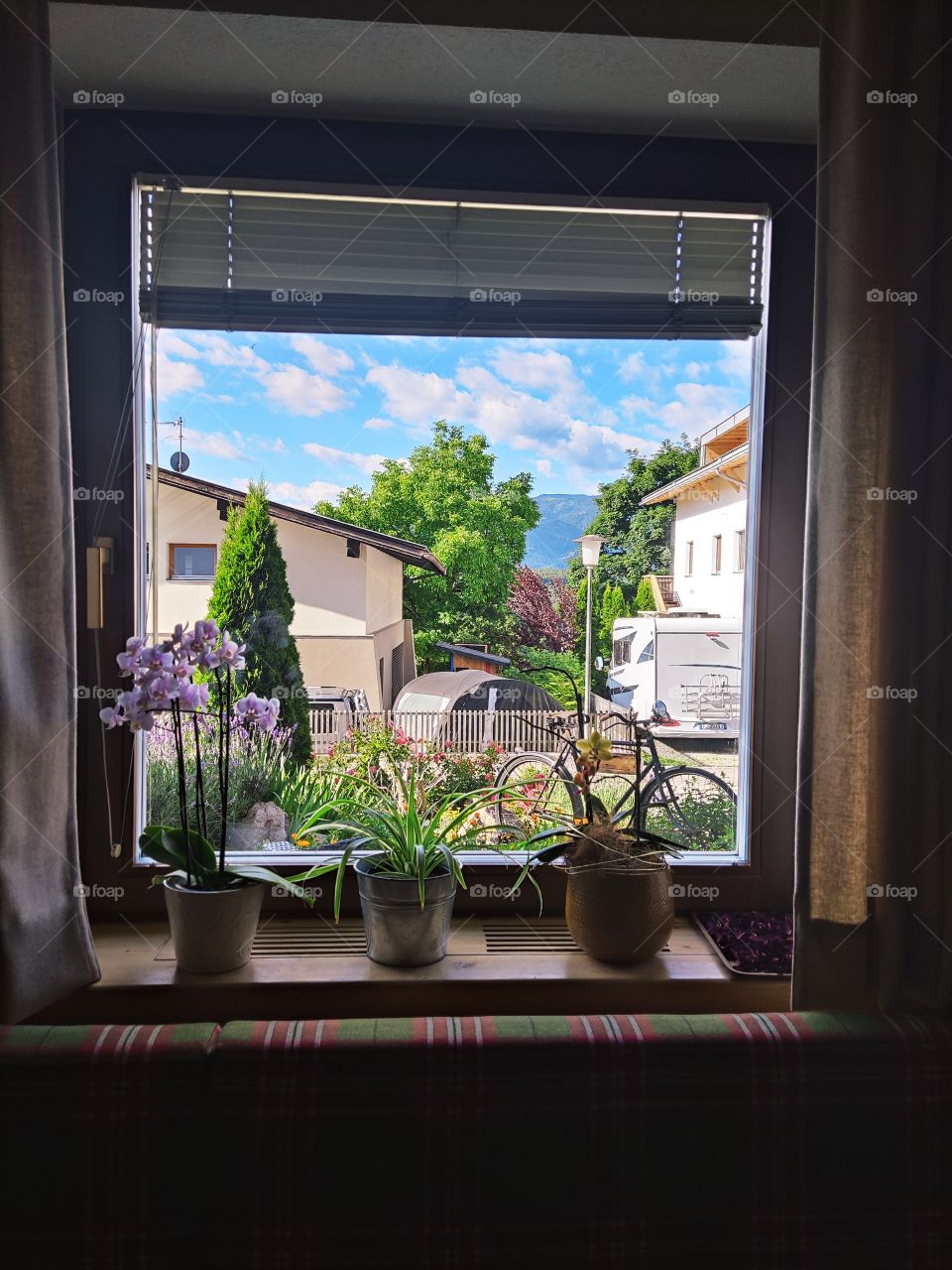 Window view
