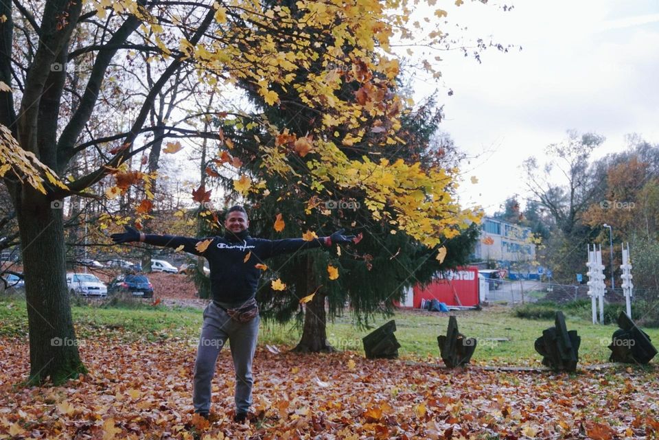 Autumn#season#leaves#colors#trees