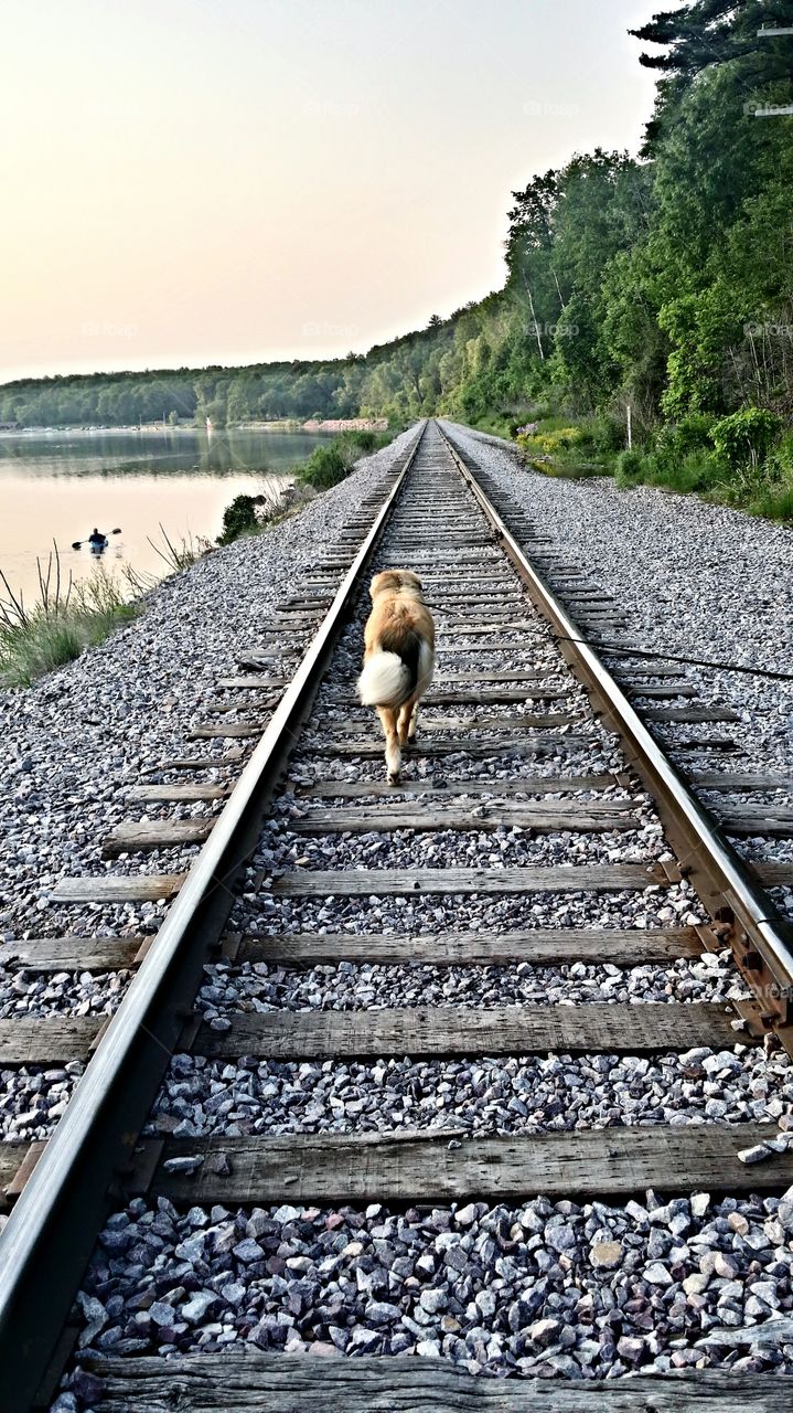 Railroad. walking the tracks