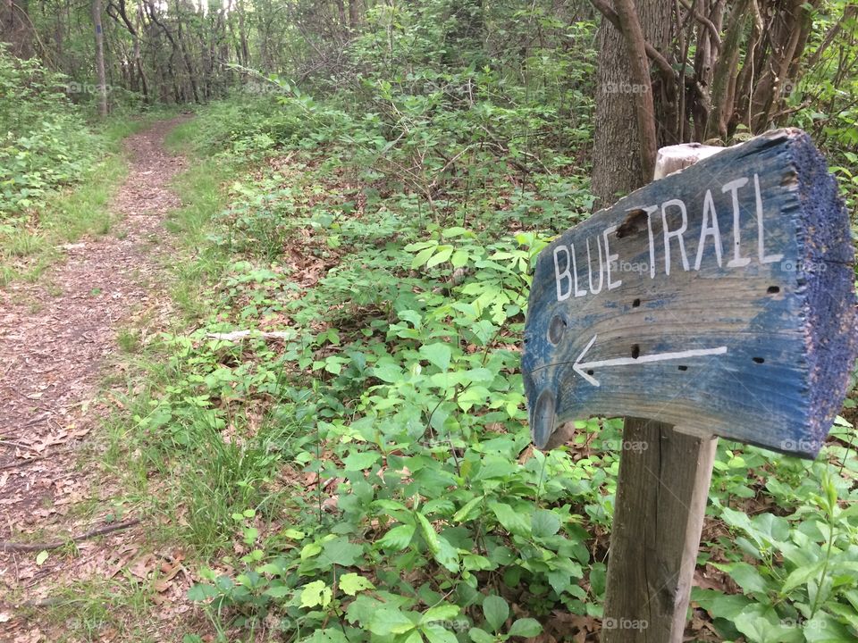 Blue trail 