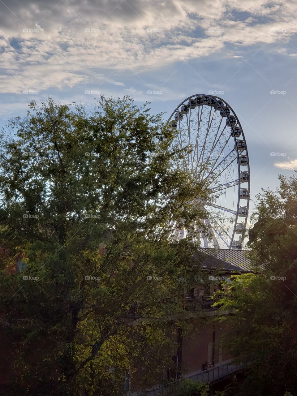 You never know what you'll see in nature if you don't take the time to look.