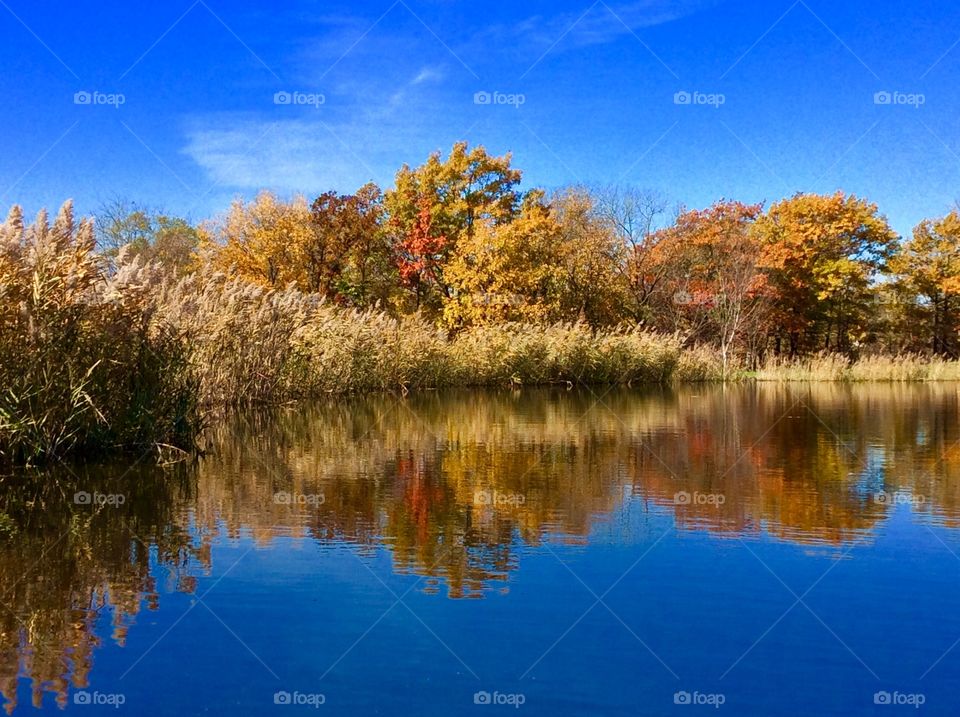 Autumn forest reflection in lake