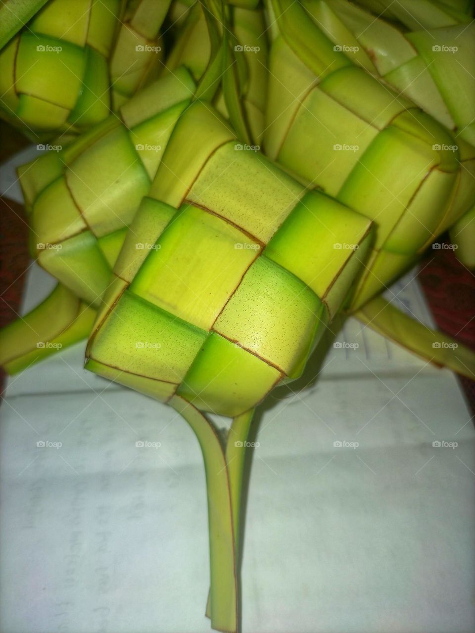 coconut leaf