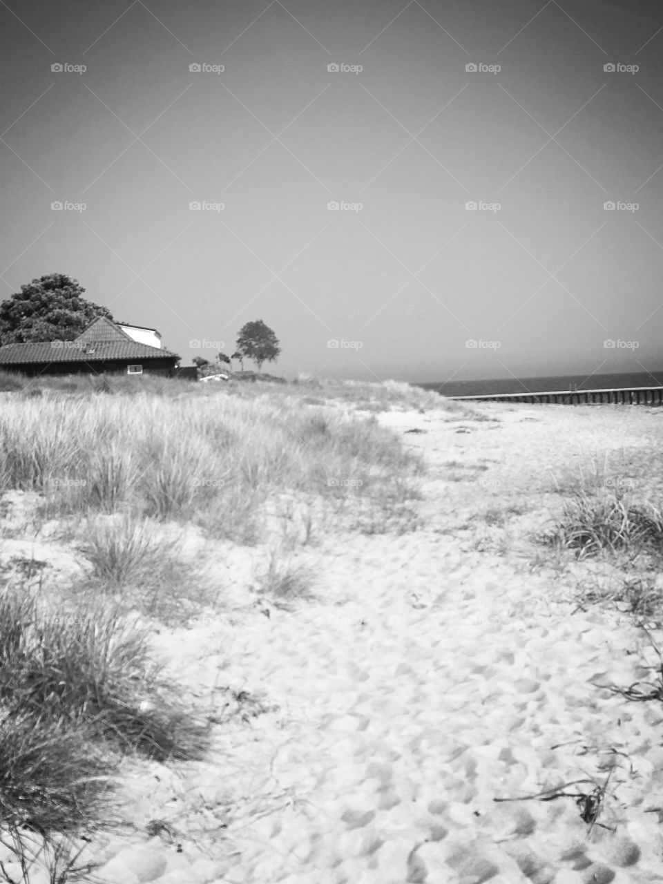 sunny day at the beach