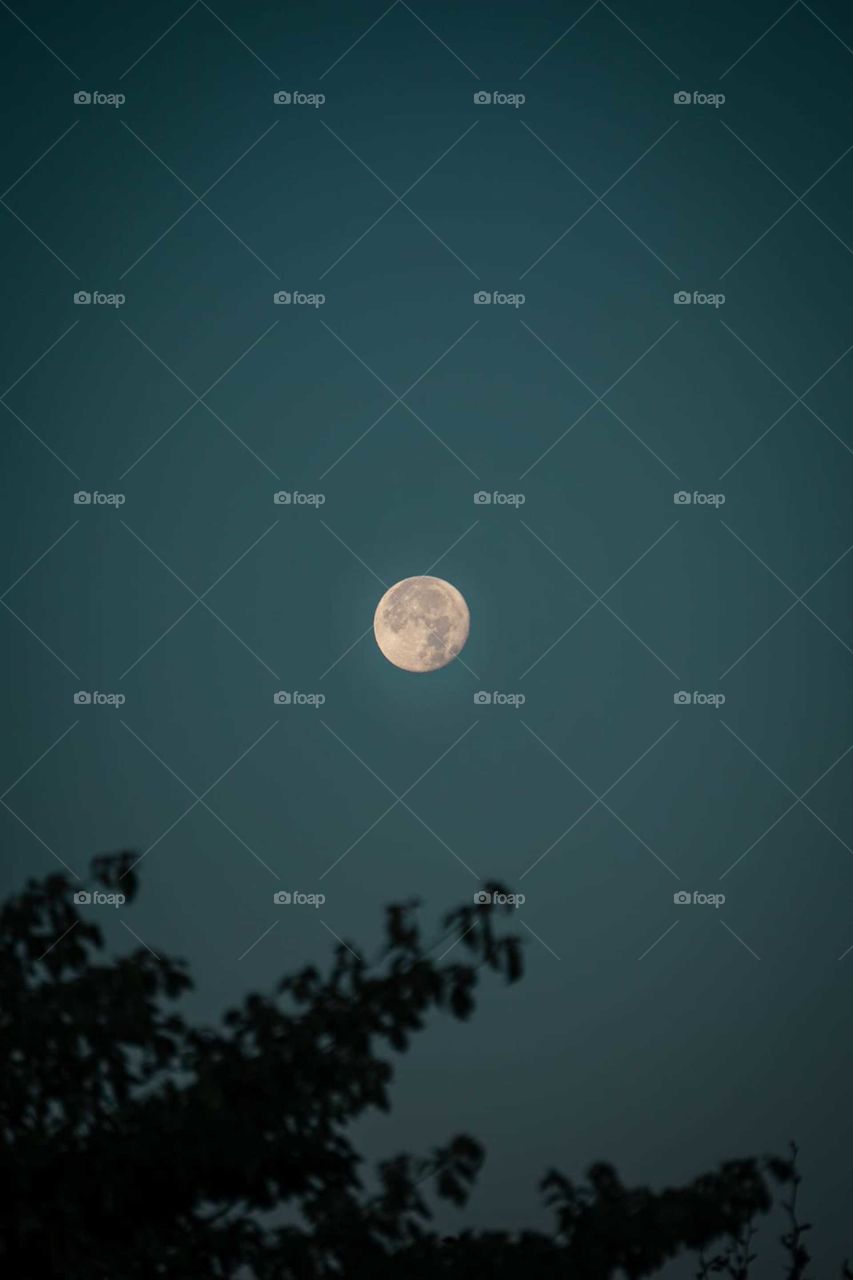 To the moon and back 