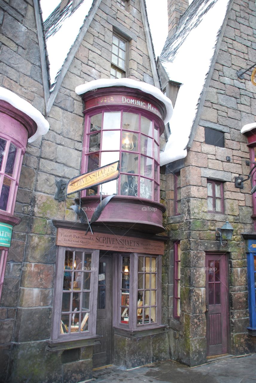 The Wizarding World of Harry Potter