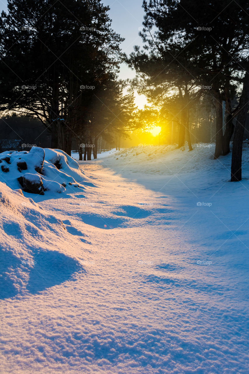 Winter sunset landscape in park