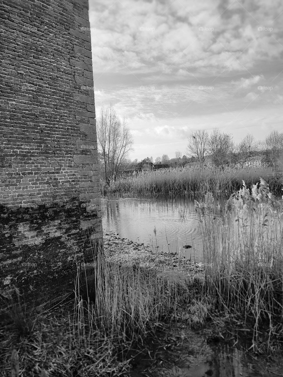 Visit of the castle of Havré, Hainaut