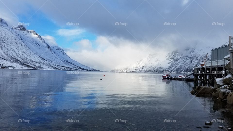 Winter fjord