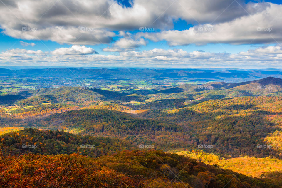 The Shenandoah Valley from Mary's Rock, Shenandoah National Park, VA