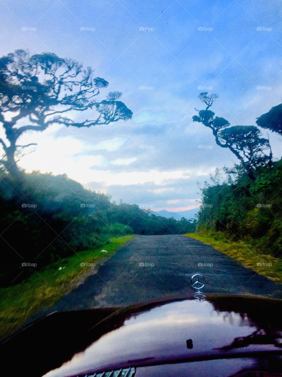 Happiness is there while drive along on the road 