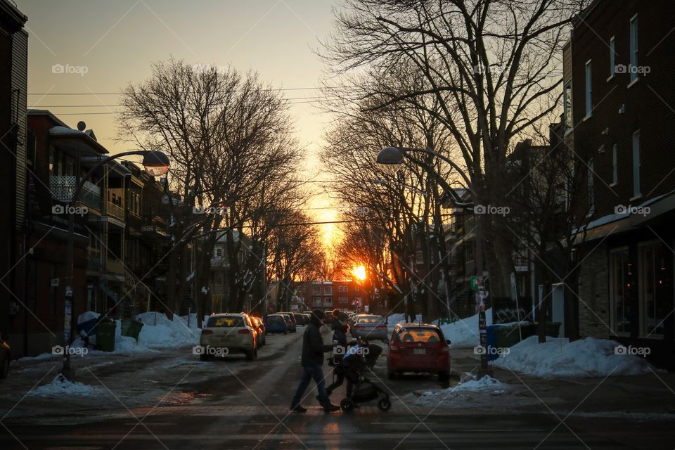 Cityscape Quebec 