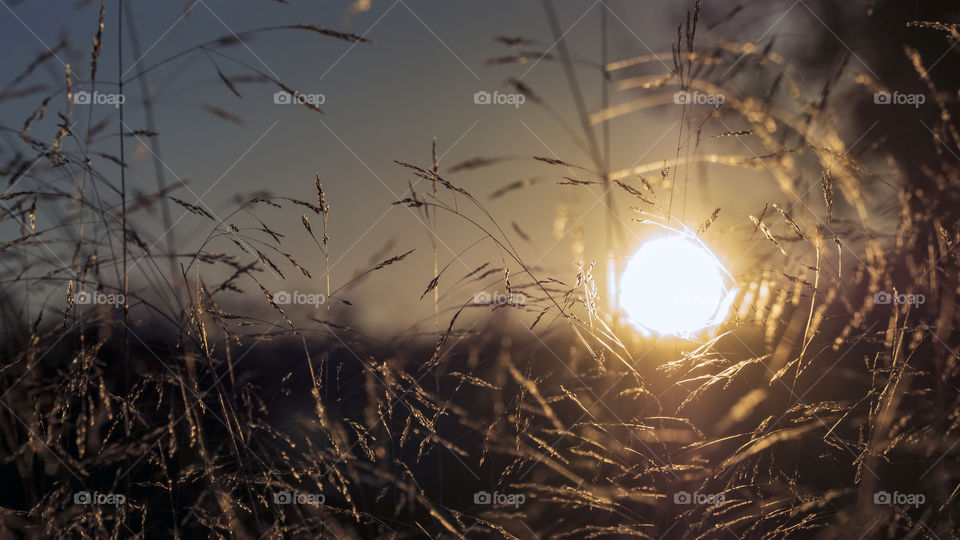 Amanece, que no es poco
Sunrise, which is no small thing