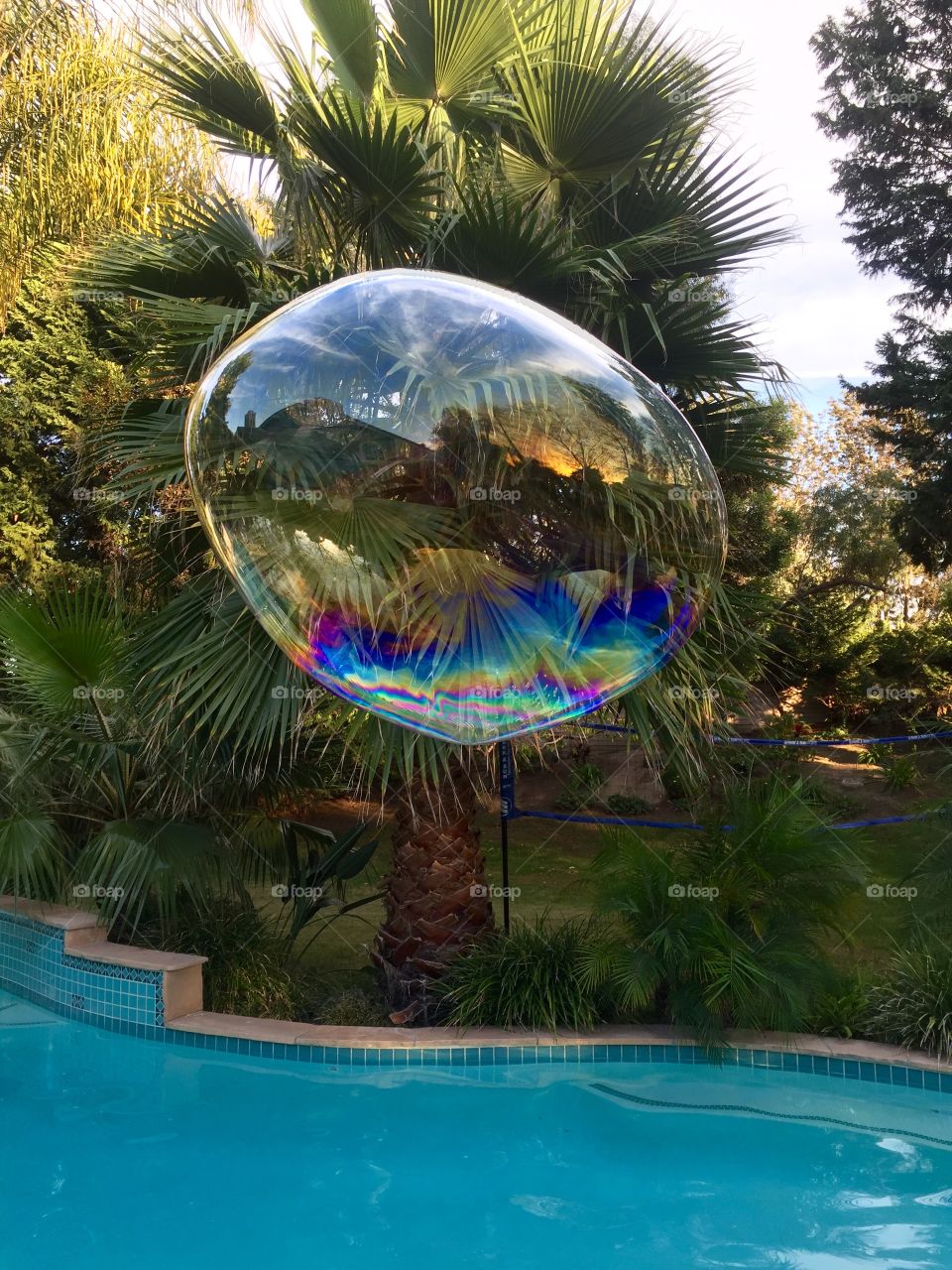 don't go bursting my bubble