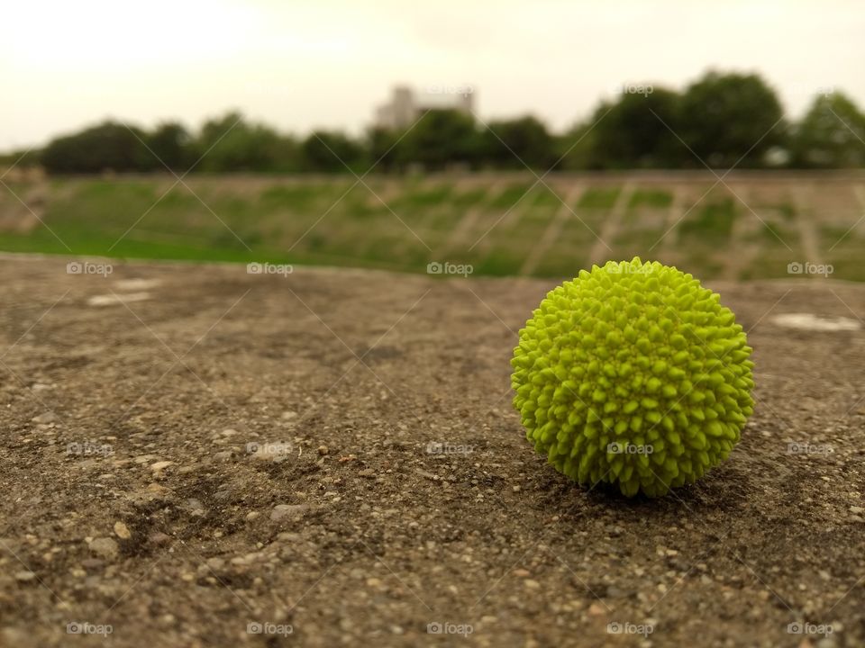unknown flower ball