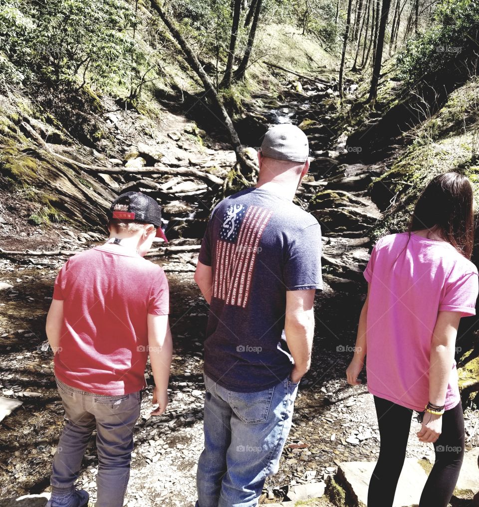 Family gaze still, taking in natural beauty of the greens and woods of the Great Smoky Mountains National Park.