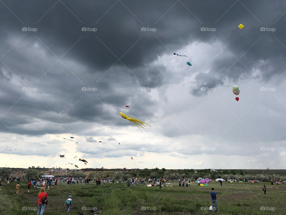 Festival of flying kites