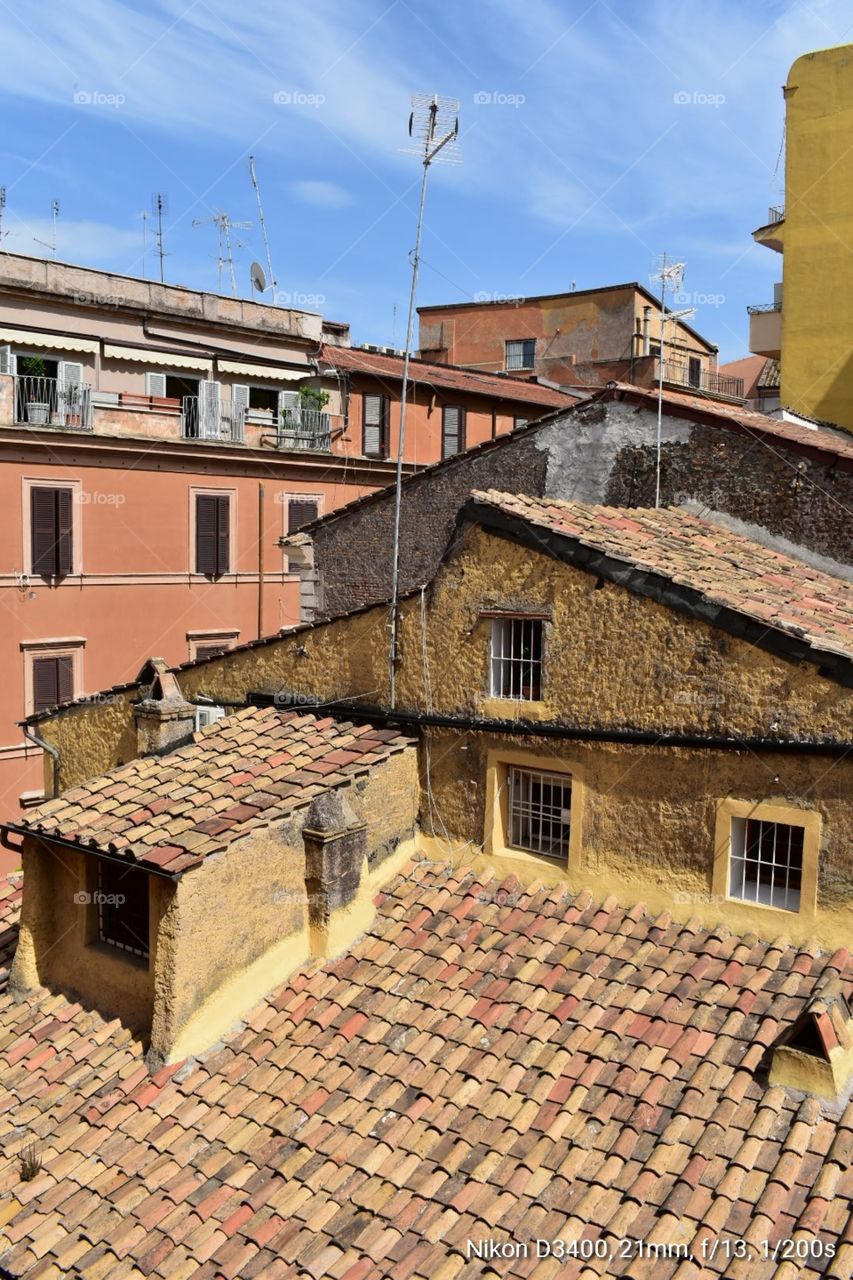 Rome Rooftops