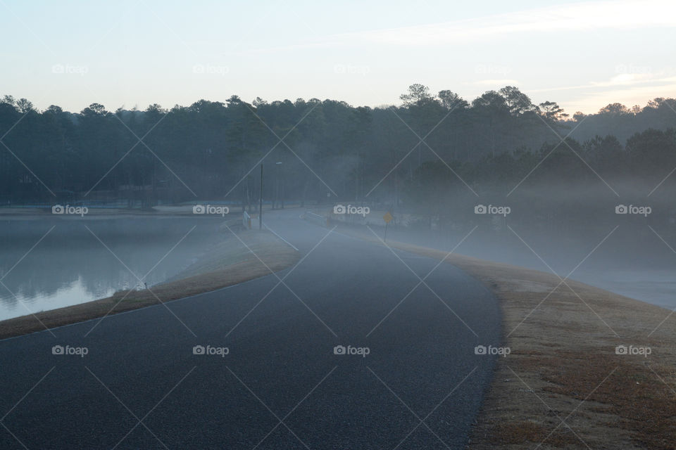 A foggy spring morning
