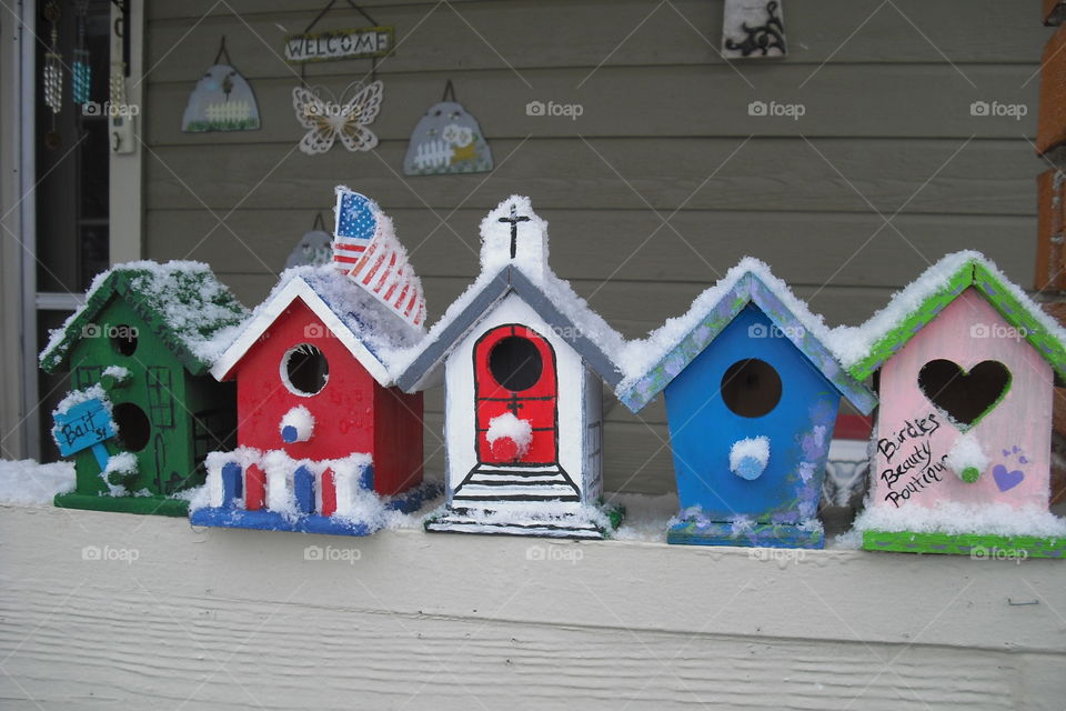 springtime snow in birdville